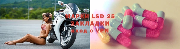 прущие грибы Балахна