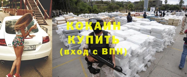 прущие грибы Балахна
