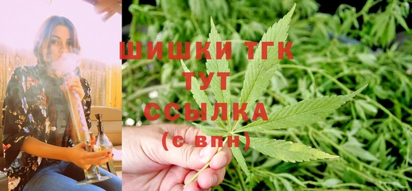 дживик Белокуриха
