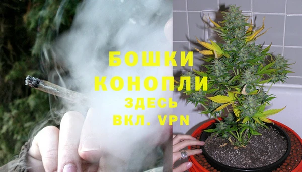 ПСИЛОЦИБИНОВЫЕ ГРИБЫ Белоозёрский