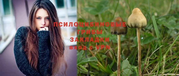 прущие грибы Балахна