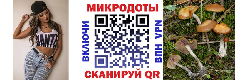 купить наркоту  Старая Купавна  Галлюциногенные грибы MAGIC MUSHROOMS 